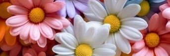Flor 🌺 banner