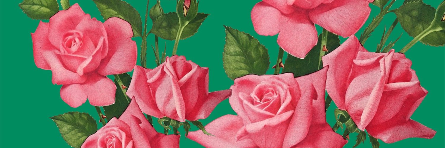 elrodolforod's profile banner image
