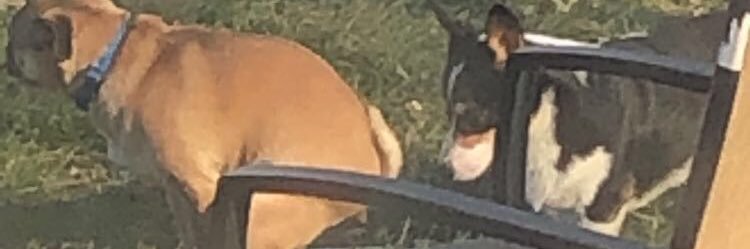TheBonez's profile banner image