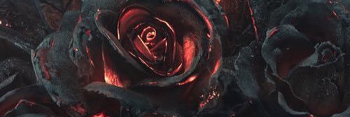 kortni_d's profile banner image