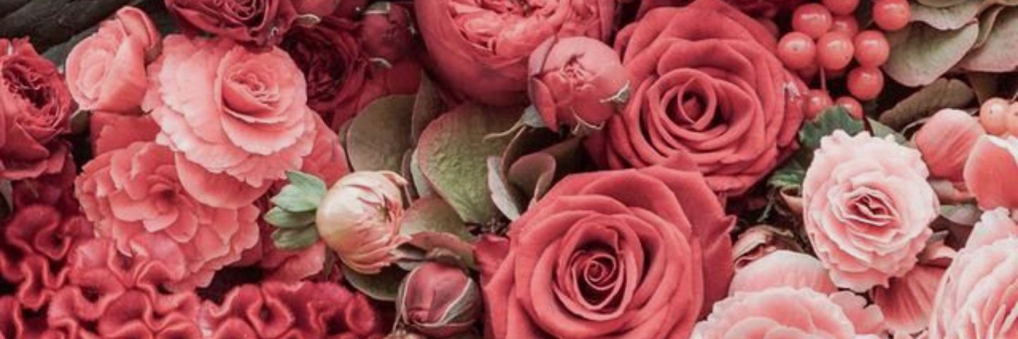 CarrieThomas_'s profile banner image