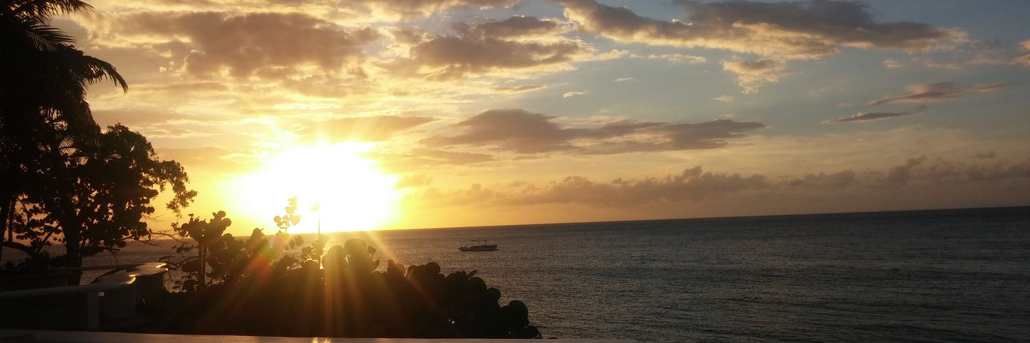 katymvv's profile banner image