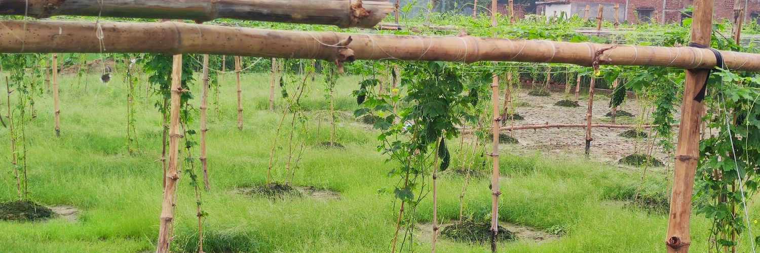 rahulalh's profile banner image