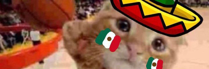 kelp shake 🇲🇽 banner