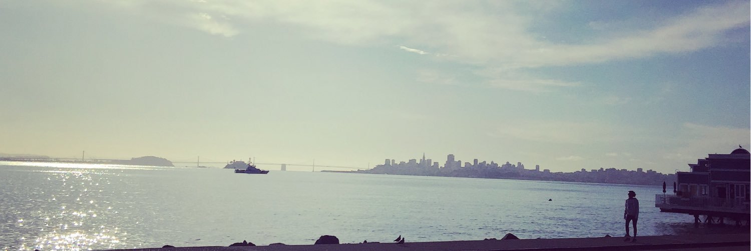 doc_owl's profile banner image