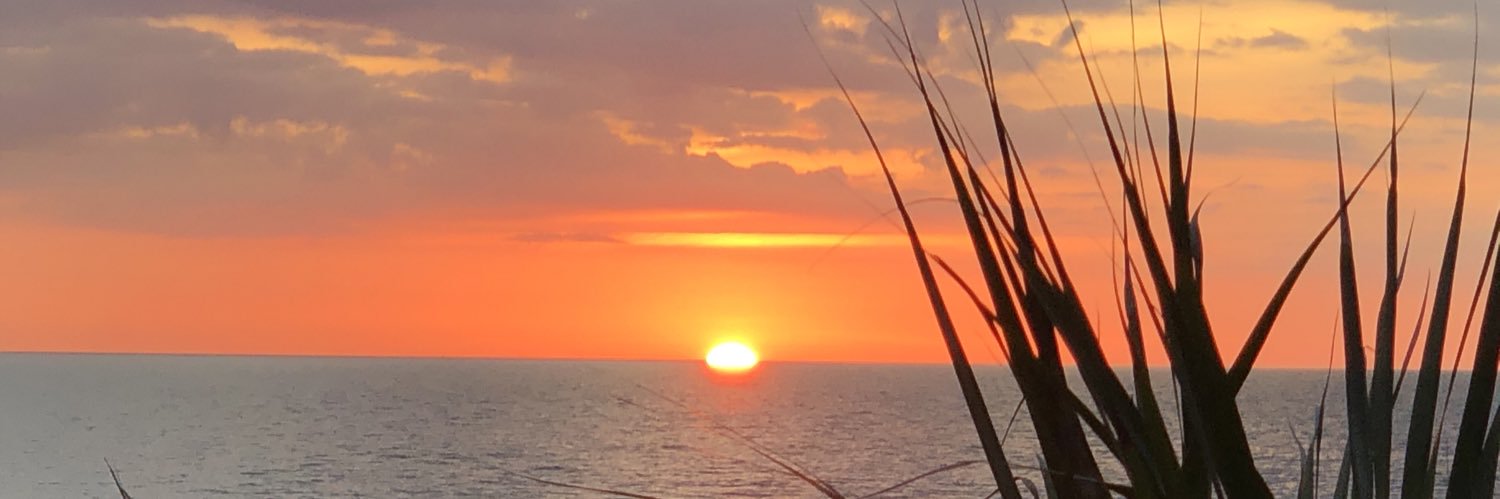 Han_Anderson8's profile banner image