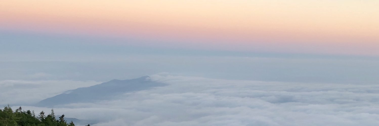 Melinda Barrera banner