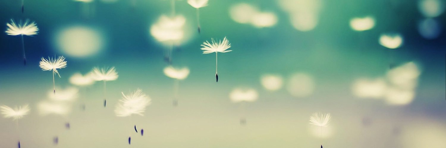 BobbiPenn's profile banner image