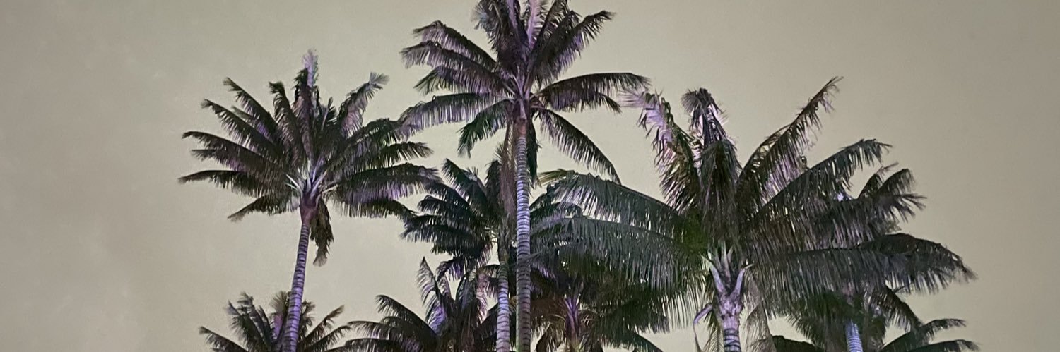 Juanita Ardila banner