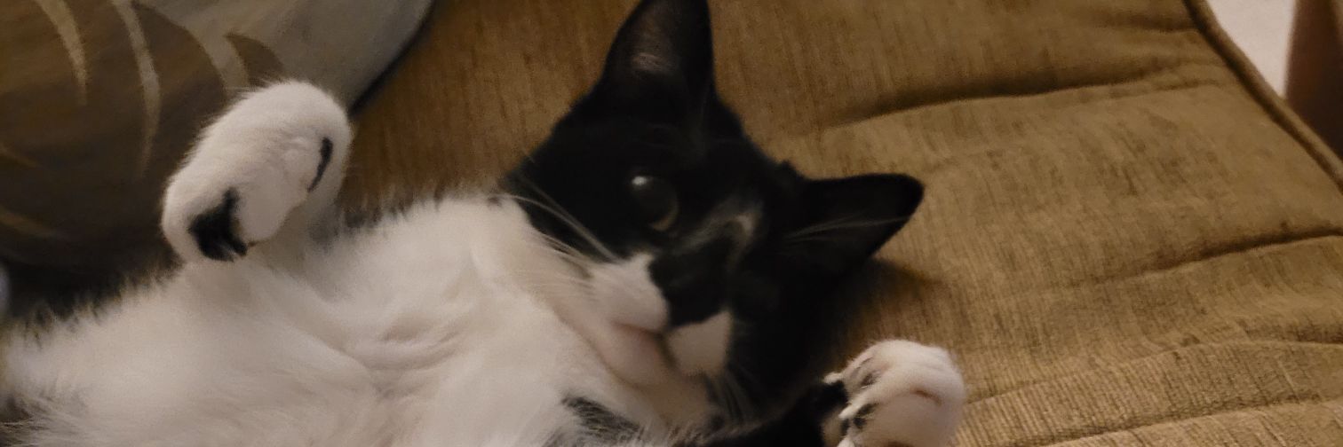 Veronica Reagan banner