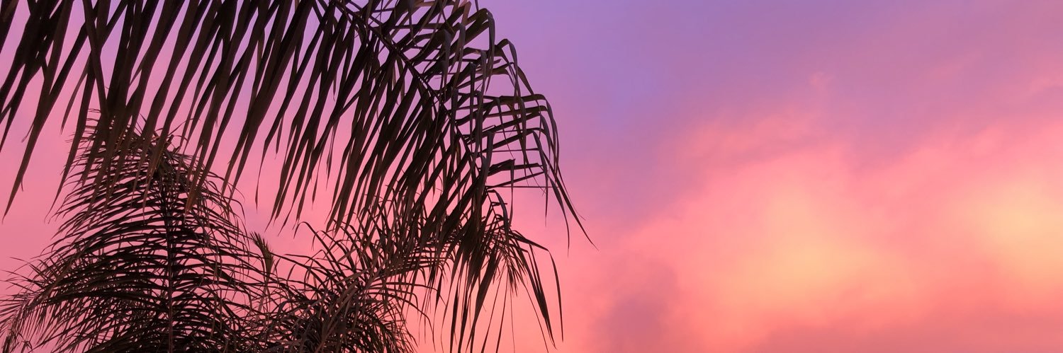 crystalsmonster's profile banner image