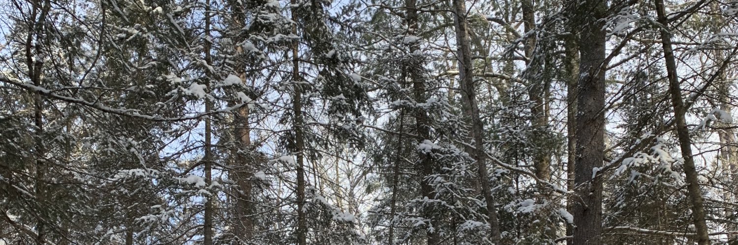 rachelgerrior's profile banner image