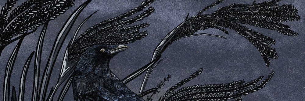 Cheovka's profile banner image