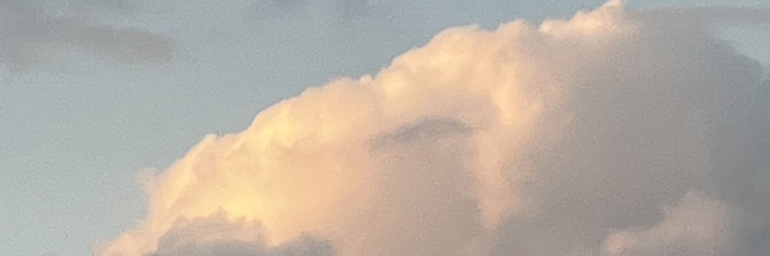 MattsonSarah's profile banner image