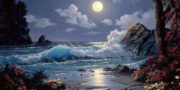 صدى الحنين banner