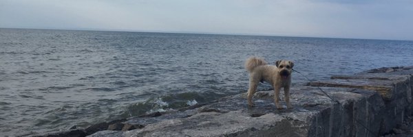 CarolineDiorio Profile Banner
