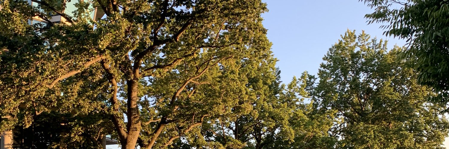 ian_102's profile banner image