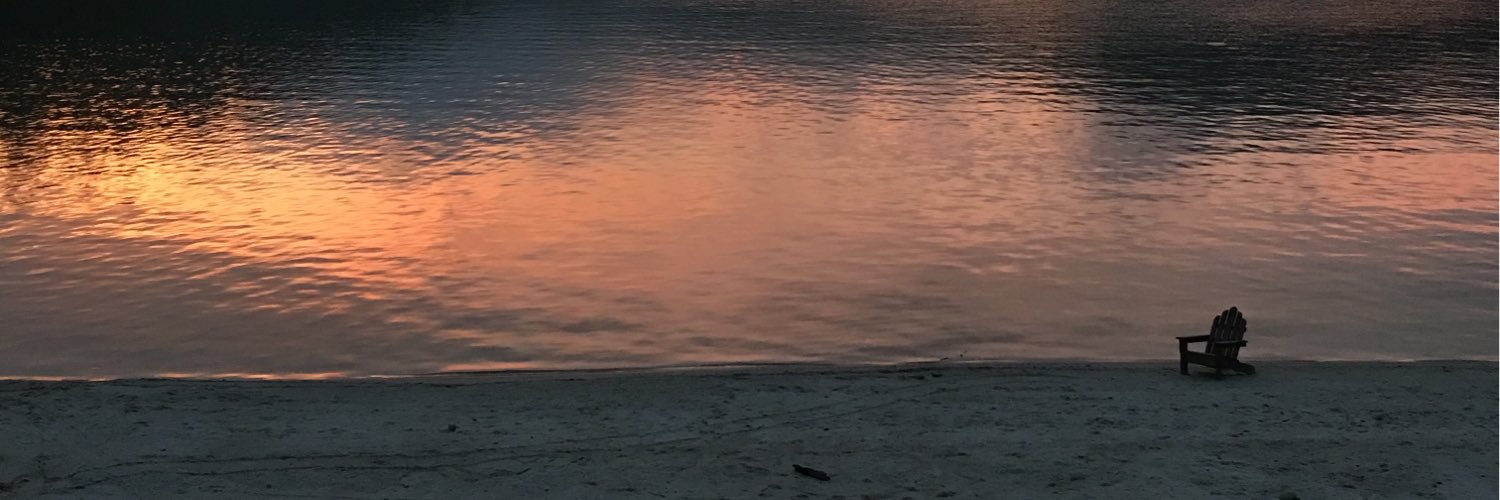 Lisa Cinglie banner
