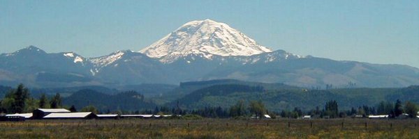 PamelaHarding Profile Banner