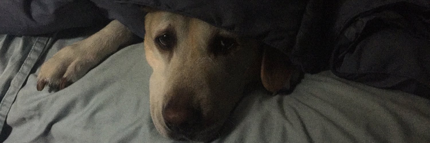 Keith Monette banner