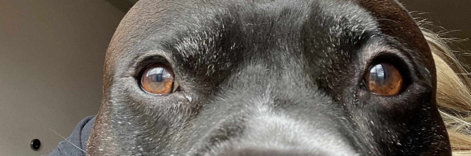 summermandy__'s profile banner image