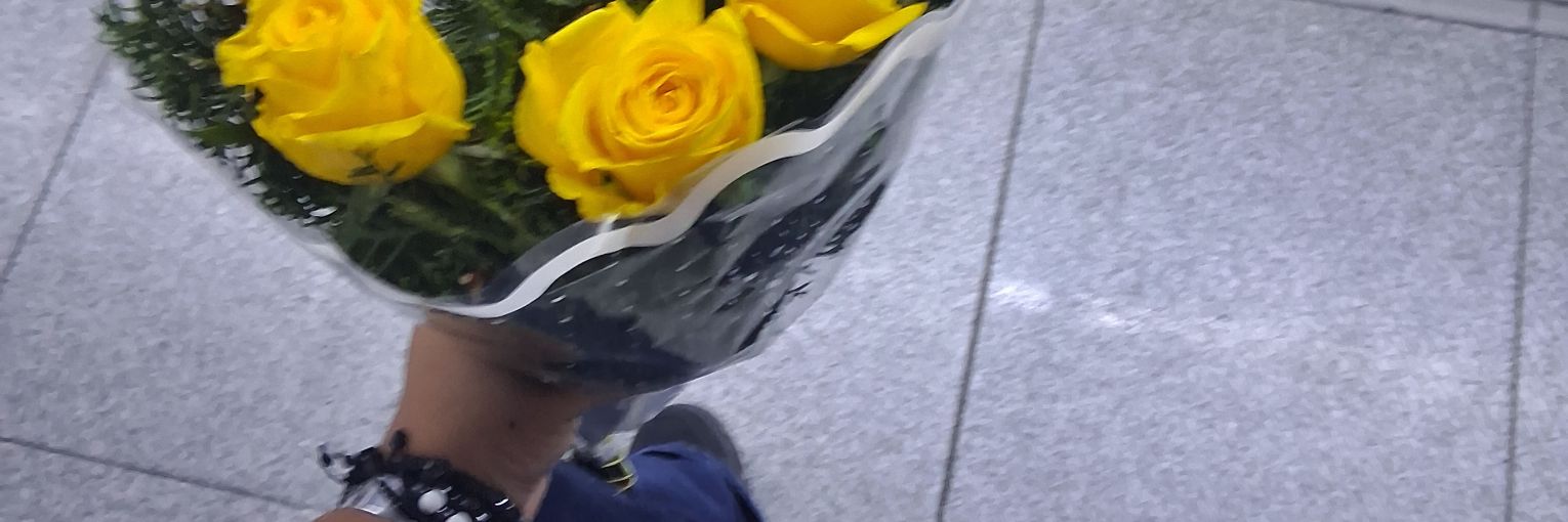 An_Lynxx's profile banner image
