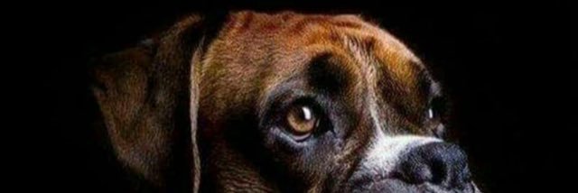 YeahBuddyItsSam's profile banner image