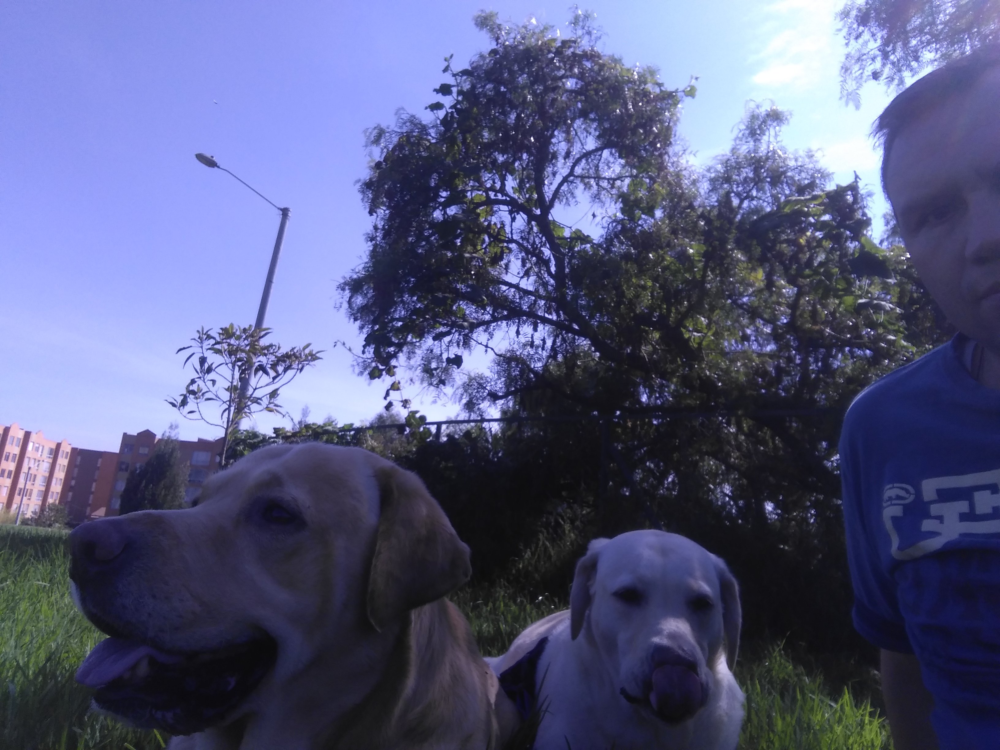 Gabriel D' Silva .. banner