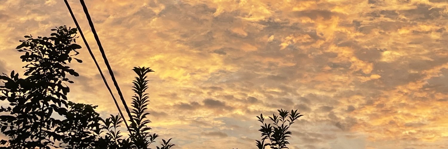 kangph22's profile banner image