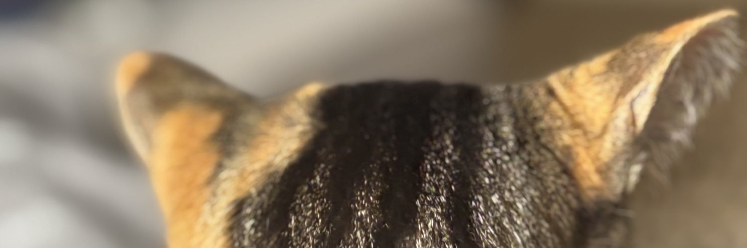 courtybug19's profile banner image