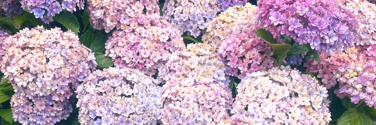 Mfst25's profile banner image