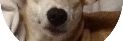 jackiesnarnia's profile banner image