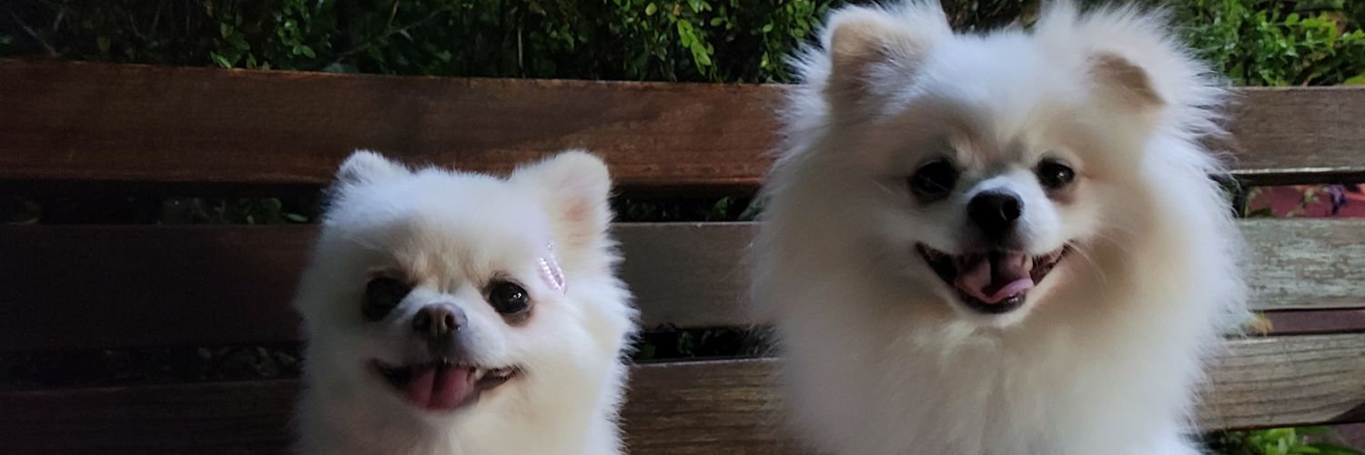 hjp1218's profile banner image