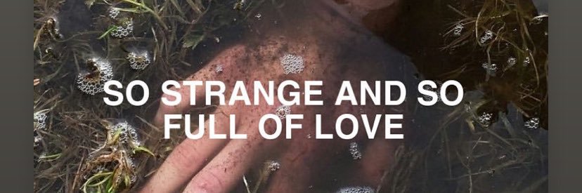 hambug19's profile banner image