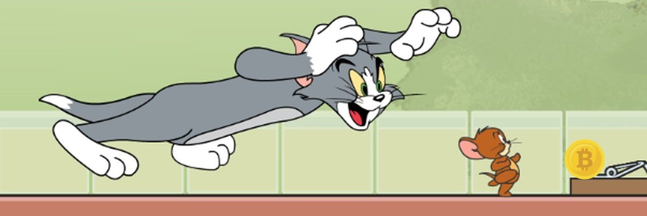 crypto_cat_tom's profile banner image