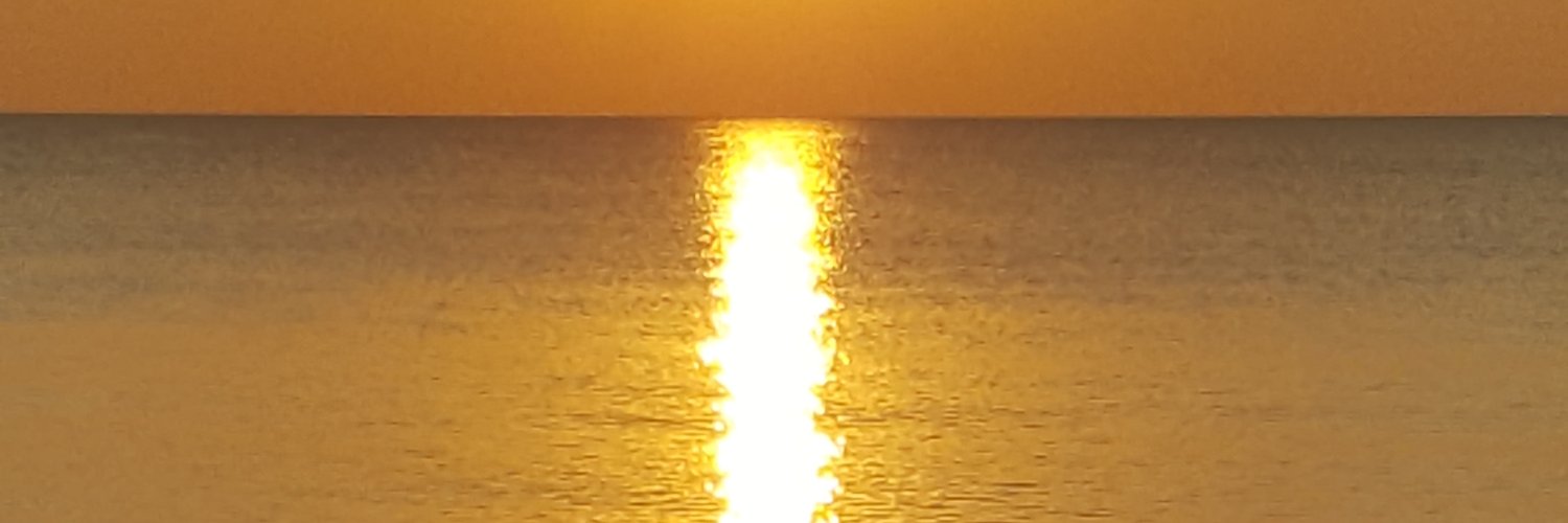 cathyr01's profile banner image