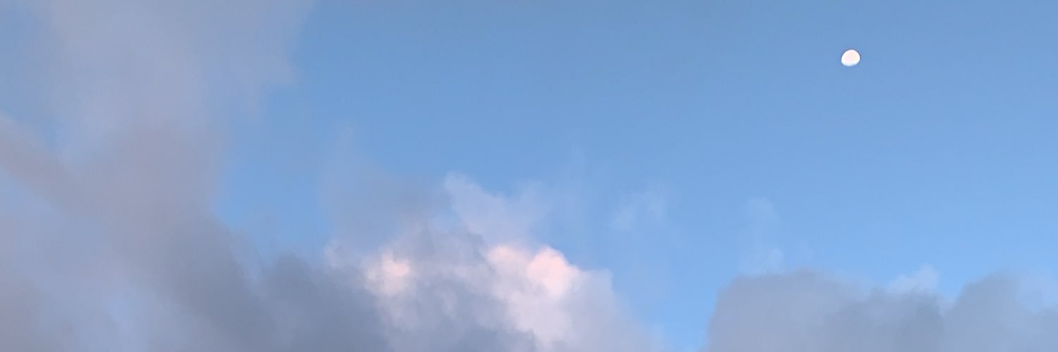 teyaaiko's profile banner image
