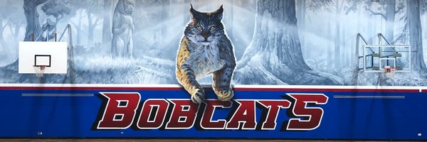 sd35brookswood Profile Banner