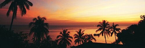 Tyraaa_J's profile banner image