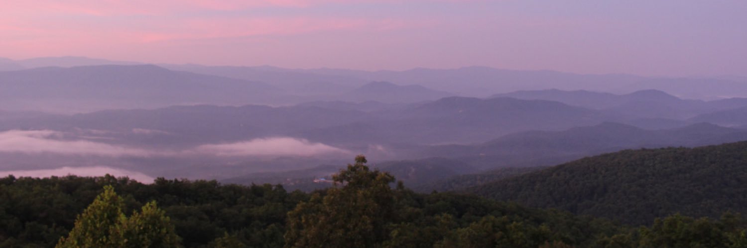 AshleyCalise's profile banner image