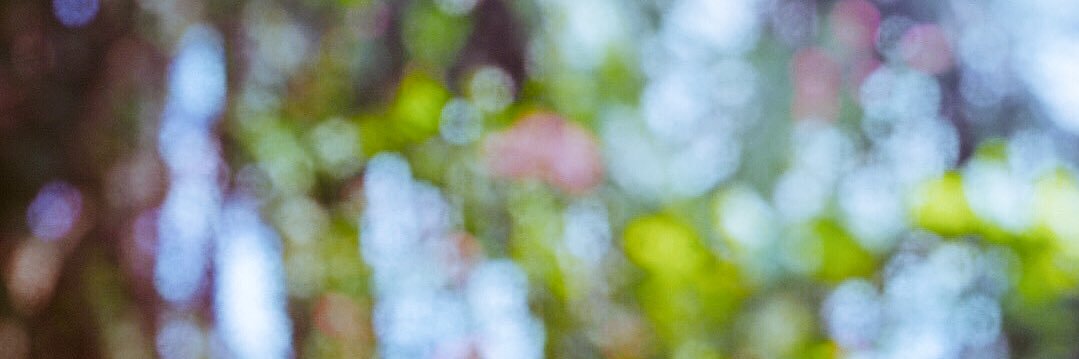 ianmarchionda's profile banner image