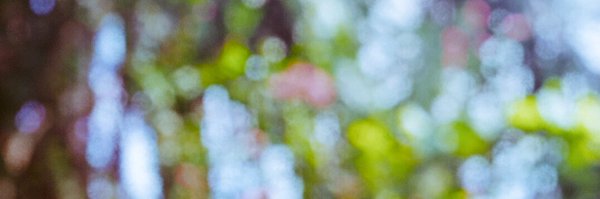 ianmarchionda Profile Banner