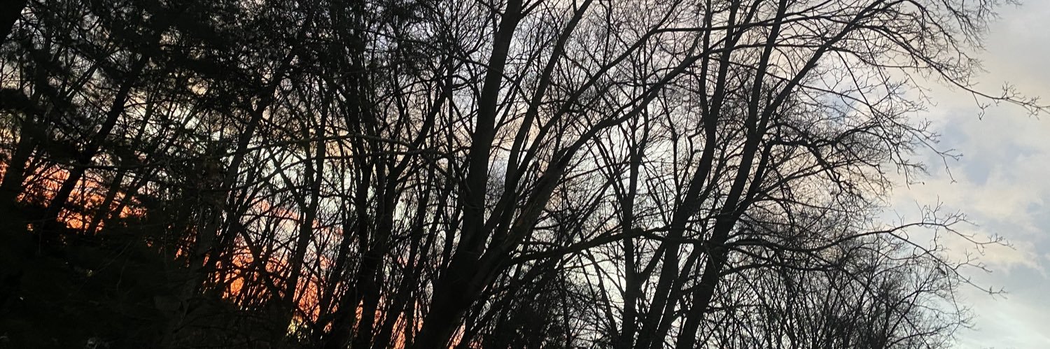 JesseRestaino's profile banner image