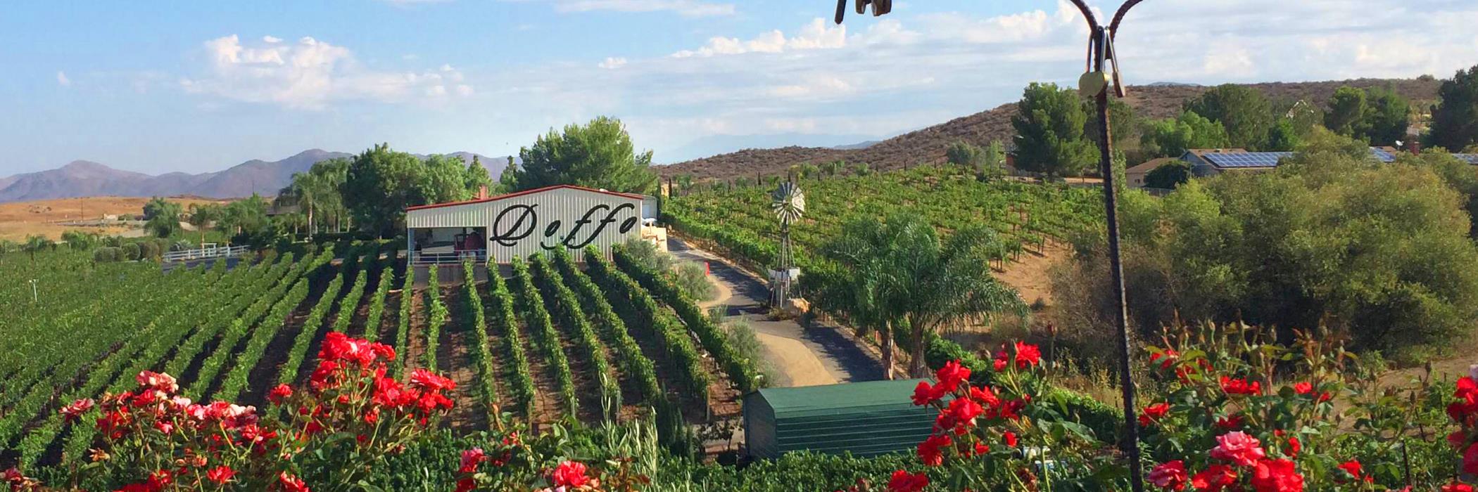 Doffo Winery banner