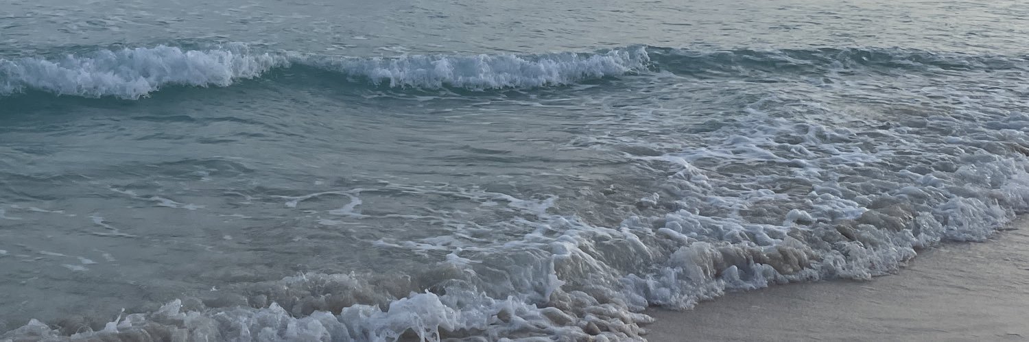 mnlfrhn's profile banner image