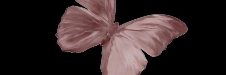 zeviraaaa's profile banner image
