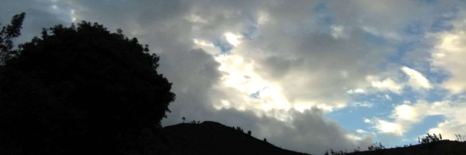 MarlyIr's profile banner image