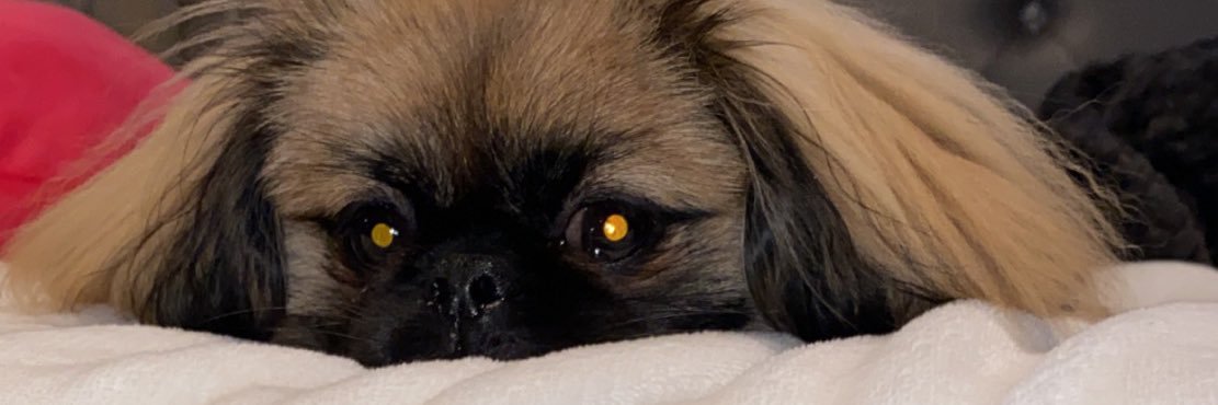 NicoleRayyy's profile banner image
