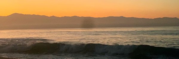 nickimonilaws Profile Banner