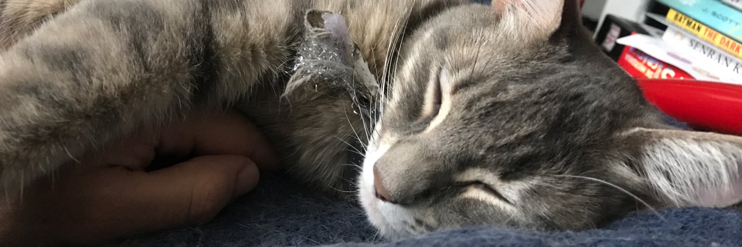 GabeRoch's profile banner image